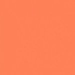 Paint and Paper Library Jaipur Pink Paint